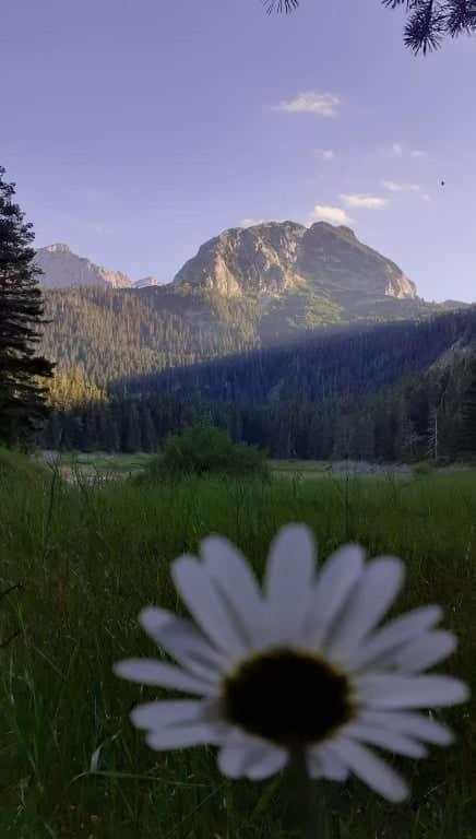 Rooms Apartment Durmitor Žabljak Kültér fotó