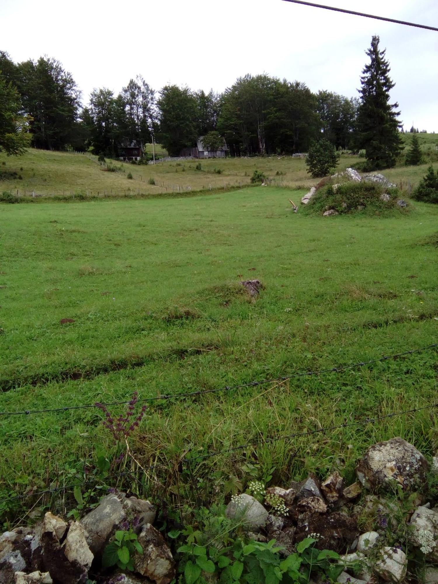 Rooms Apartment Durmitor Žabljak Kültér fotó